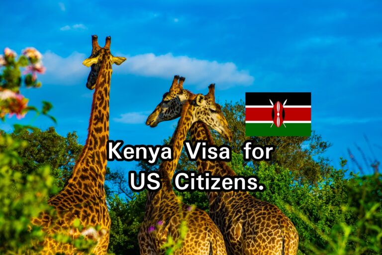 Kenya Visa for US Citizens: Application Process & Requirements [2023]