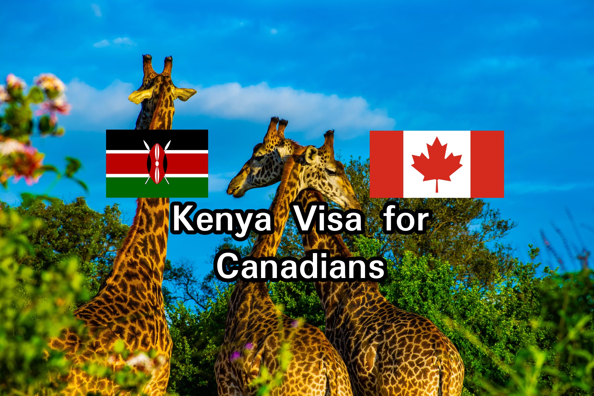 Kenya Visa for Canadians