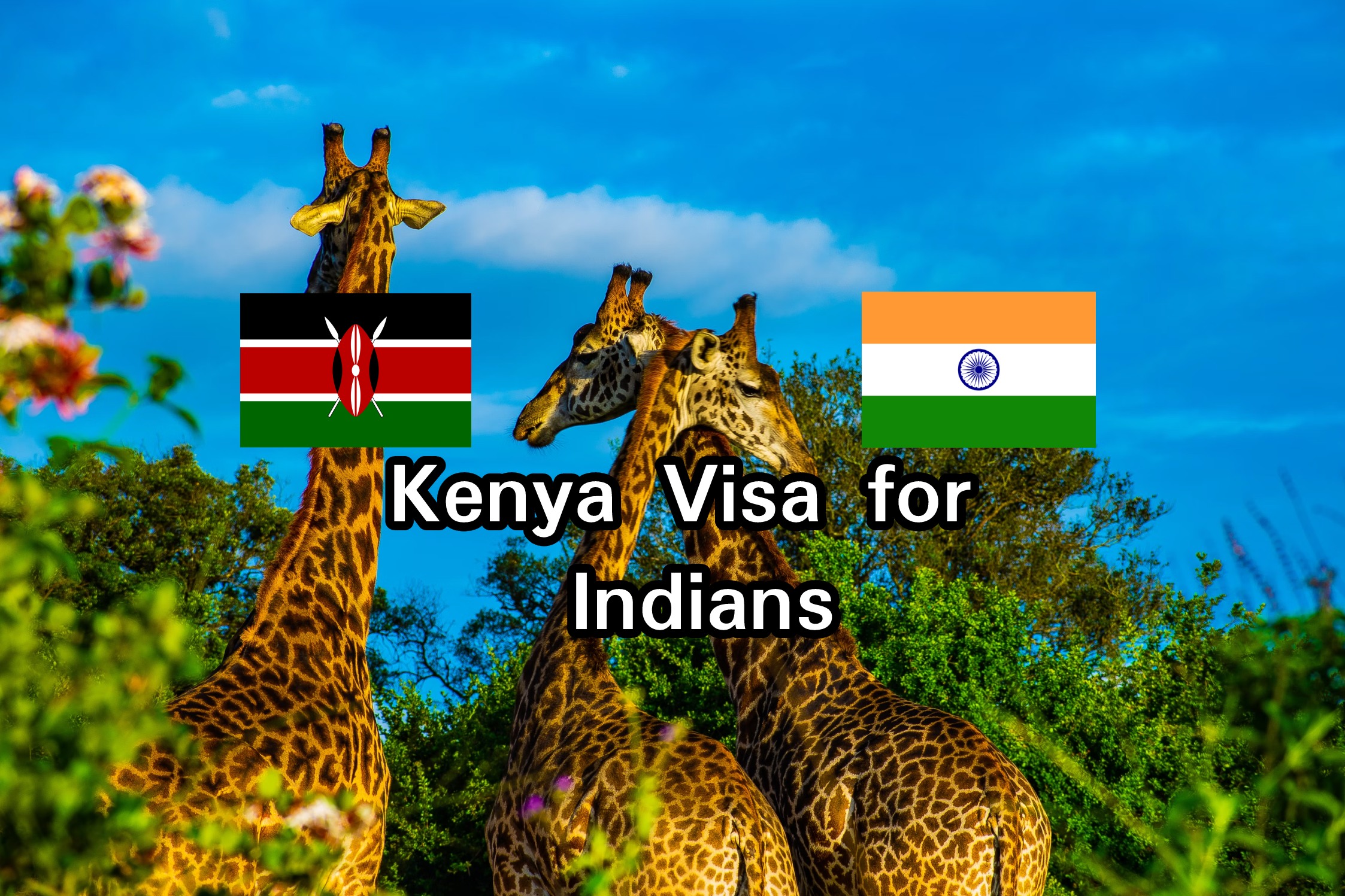 Kenya VIsa for Indians